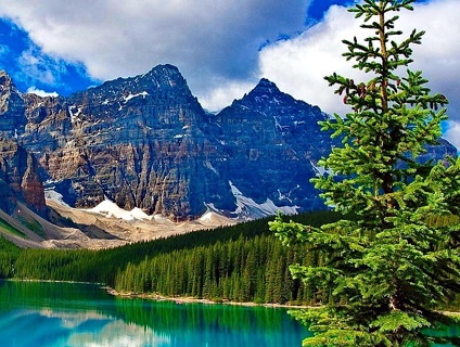 Himalayan Scouts India About Us